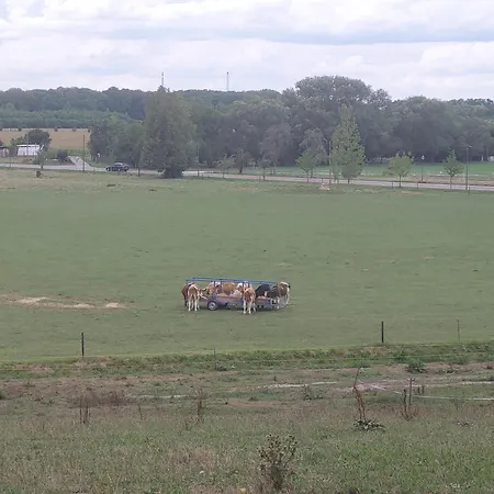 Gaestewohnung Heinrich Heine Schule * Bad Durrenberg
