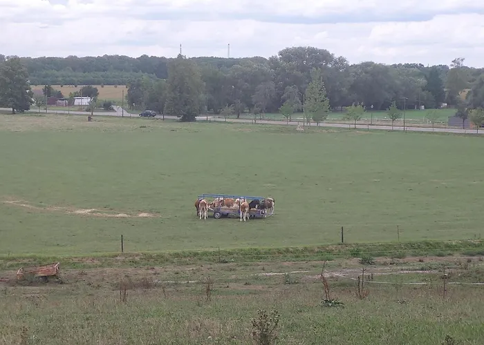 Gaestewohnung Heinrich Heine Schule * Bad Dürrenberg